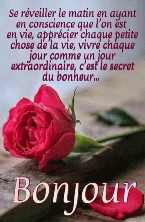 547201181_122226733874129102_3244561133277567333_n