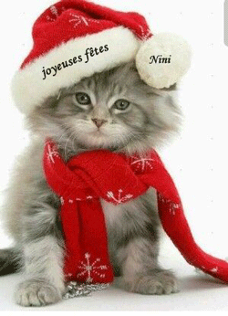 889bfbcb5d899d03a16b24397242c99b_2