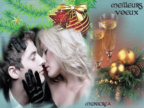 MEILLEURS VOEUX 2026