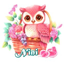 oTlgp6APzMLqxzog_msrZHbD21w