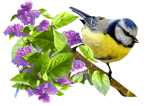 ob_65dcea_ob-4312e4-y4tr8y-7ixi0-70qu7f4cza1fcy_3